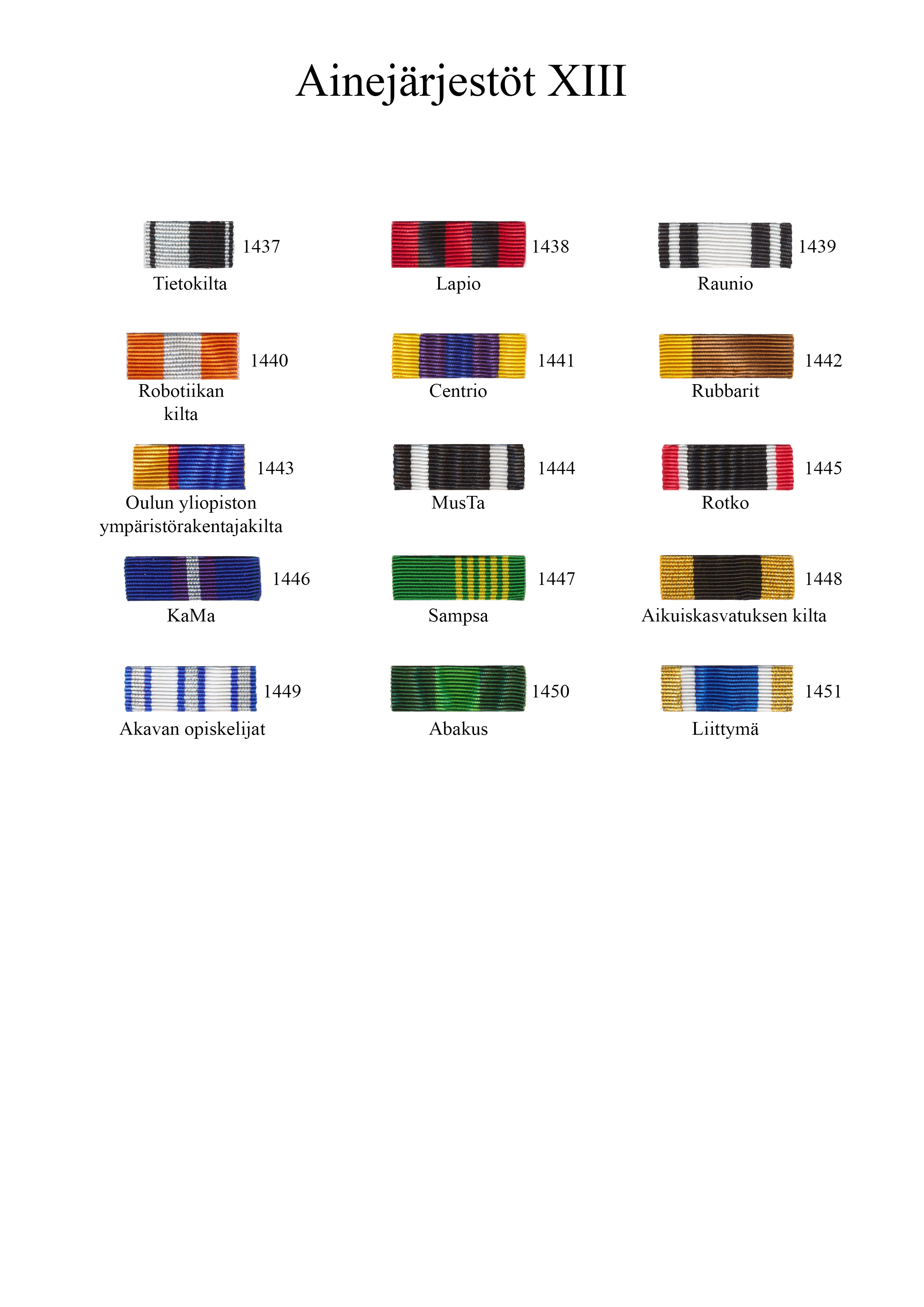 Ainejärjestöt XIII